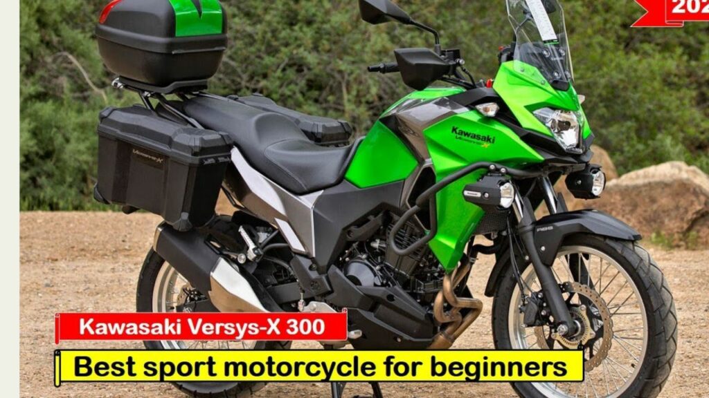 Kawasaki Versys-X 300