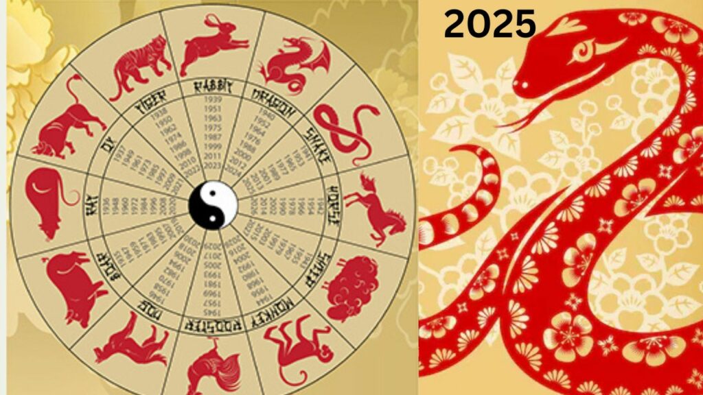 chinese zodiac 2025